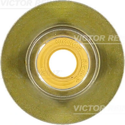 Seal Ring, valve stem